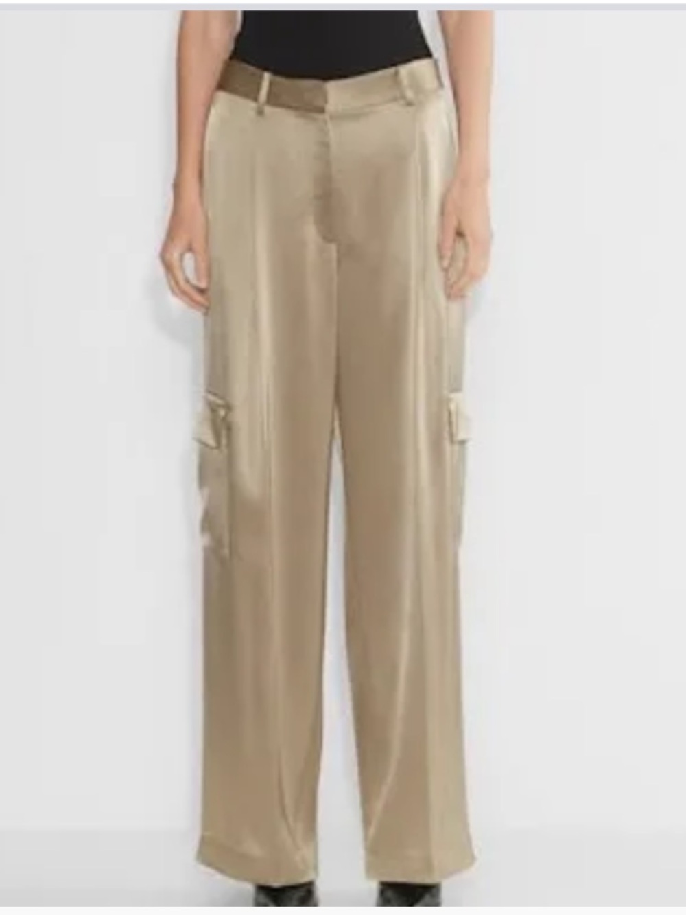 Aritzia Babaton Outgoing Taupe Satin Cargo Trouser Pants Women's Size 6